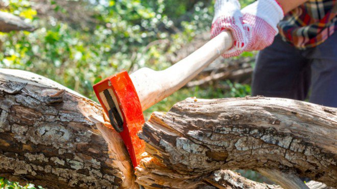 ax-chop-660x370[1].jpg