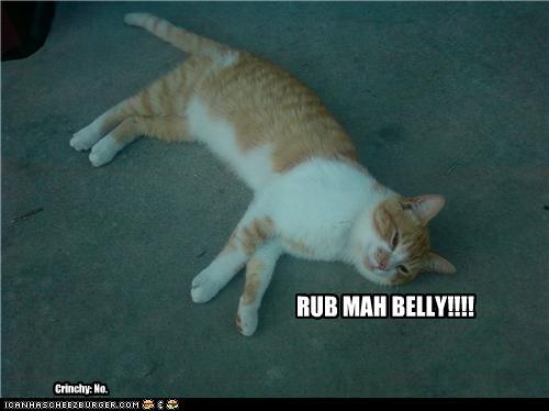 belly.jpg
