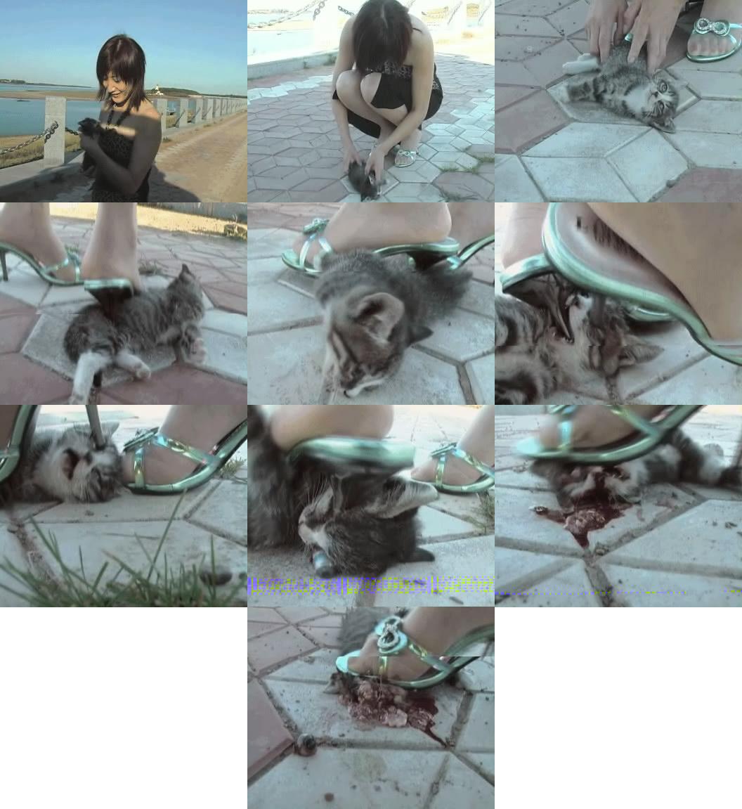 crushedcatmj4_167.jpg