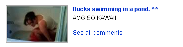 ducks.png