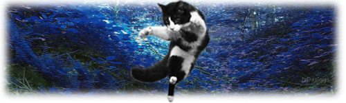 FlyingCat-No-text.png