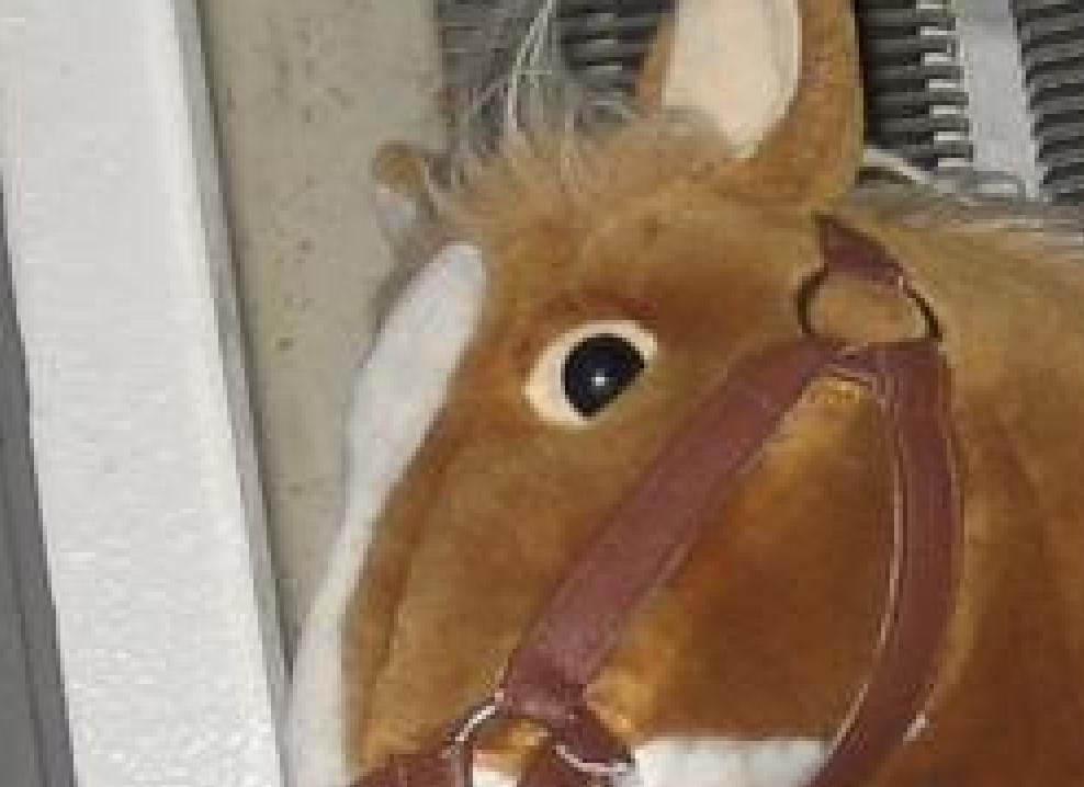 horse2.JPG