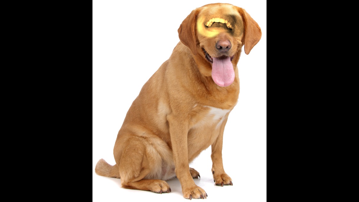 image.jpeg