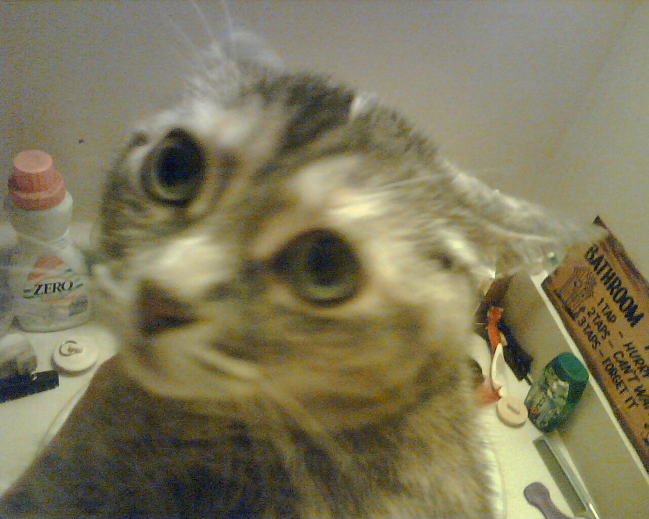 IMG00101.jpg