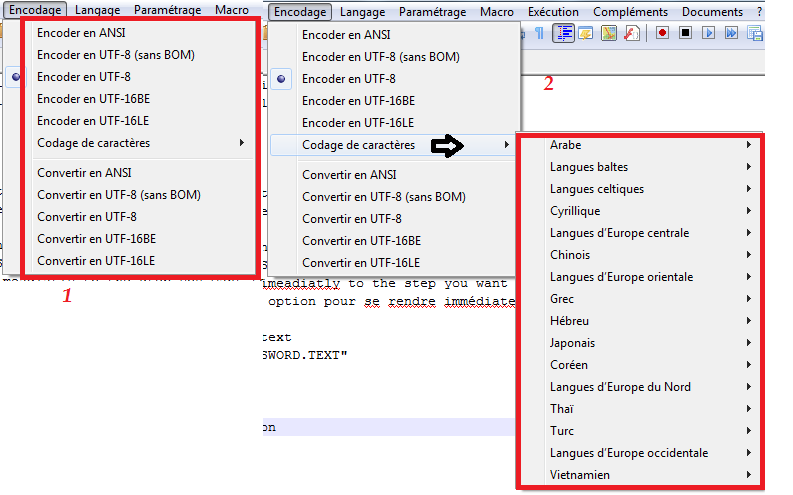 NotePad++ Encodage.png