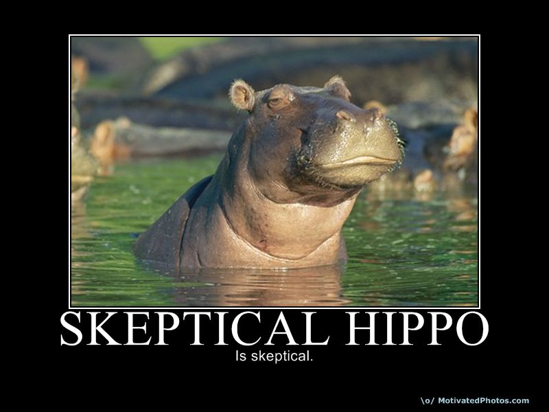 SkepticalHippo.jpg