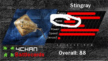 Stingray_card.jpg