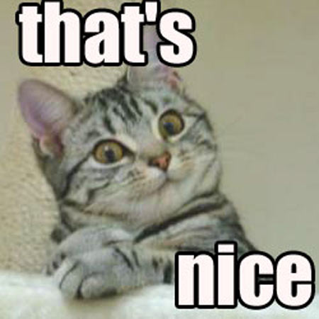 thatsnice_cat.jpg