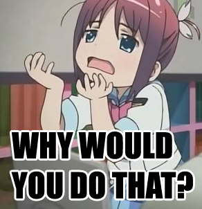 WhyWouldYouDoThat[1].jpg