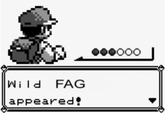 wild fag appears.png