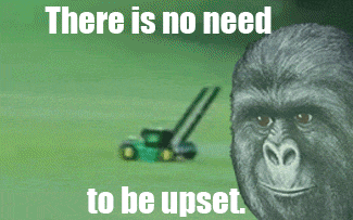 xbrEE.gif